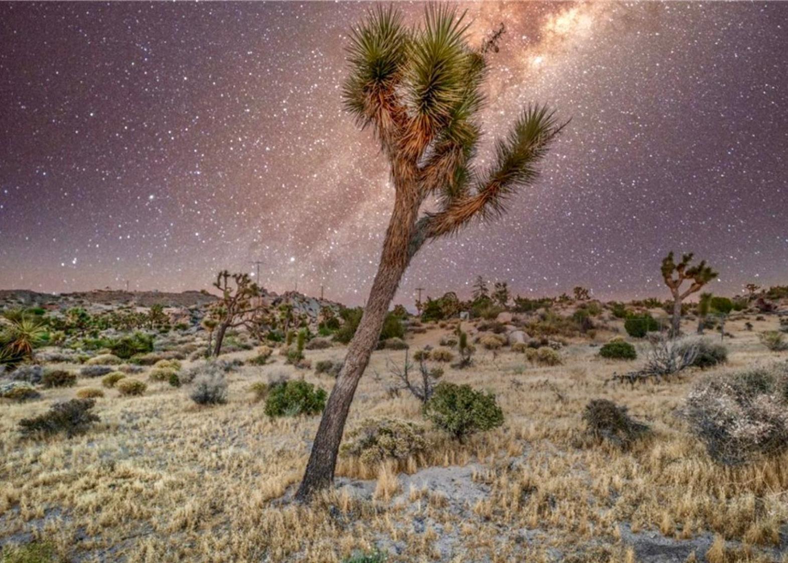 Twin Palms Desert Getaway - Jacuzzi, Fire Pit, Meditation Room & More Joshua Tree Exterior photo